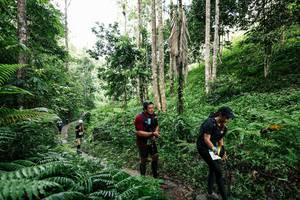 BIB: 
                            <button type="button" onclick="openModal(26409684)" class="btn btn-primary btn-sm float-right btn-popup" data-toggle="modal" data-target=".modal-high-quality">
                        <i class="fas fa-shopping-cart"></i> Add to Cart
                    </button>
                                            <button type="button" onclick="isThisMe(26409684, true)" class="btn btn-success btn-sm float-right btn-popup btn-isme hidden" data-toggle="tooltip" data-placement="bottom" title="นี่คือรูปของคุณใช่ไหม คลิกที่นี่เพื่อเอาเข้าอัลบั้ม">
                        <i class="fas fa-plus"></i> Add to album
                    </button>
                    <button type="button" onclick="isThisMe(26409684, false)" class="btn btn-warning btn-sm float-right btn-popup btn-isnotme hidden">
                        <i class="fas fa-ban"></i> Remove from album
                    </button>